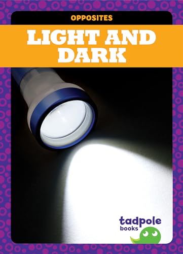 Light and Dark (Opposites) view 2