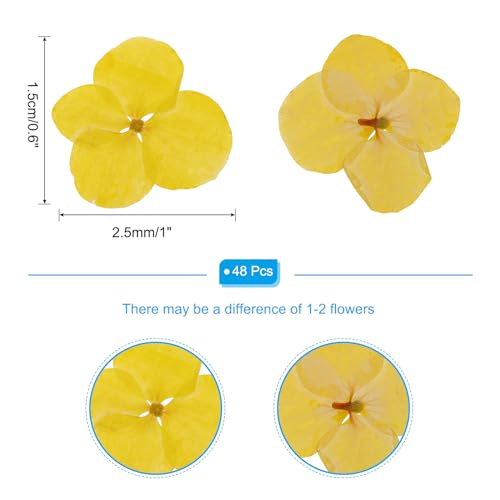Flores prensadas secas amarillas, 48 piezas para manualidades miniatura 2