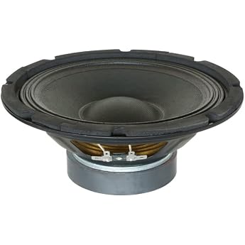 Skytec SP1000 10-inch 250W woofer