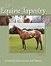 The Equine Tapestry: An Introduction to Colors and Patterns