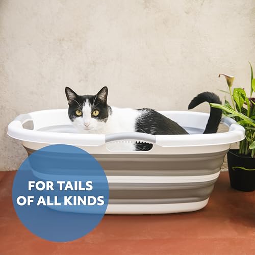 Smoochie Estação de lavagem de banheira 2 em 1, banheira dobrável e portátil para cães, gatos tomand