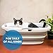 Smoochie 2 in 1 Dog Bathtub Washing Station, Elevated Pet Bath Tub, Collapsible and Portable Bathtub for Dogs, Cats Bathing, Shower and Grooming, Indoor and Outdoor