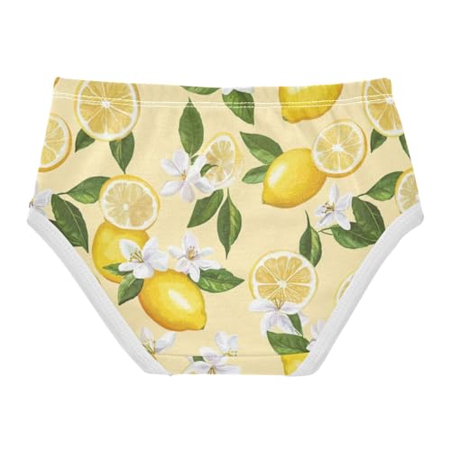 ZZKKO Lemon Flower Leaves Girls Underwear Toddler Panties for Girls Comfort Brief Size 2-8T2