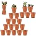 Terracotta Pots