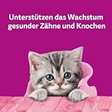 WHISKAS Milch-Kätzchen Katzensnacks 2-12 Monate 6 x 50g – Spezielle Snacks für Kätzchen mit Milchgeschmack