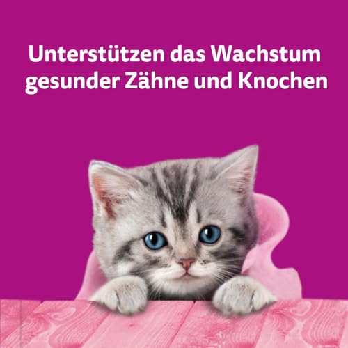 WHISKAS Milch-Kätzchen Katzensnacks 2-12 Monate 6 x 50g – Spezielle Snacks für Kätzchen mit Milchgeschmack