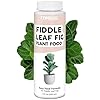 Fiddle Leaf Fig Plant Food – Liquid Plant Food for Bigger Leaves, Stronger Roots & Healthy New Growth, 8 oz