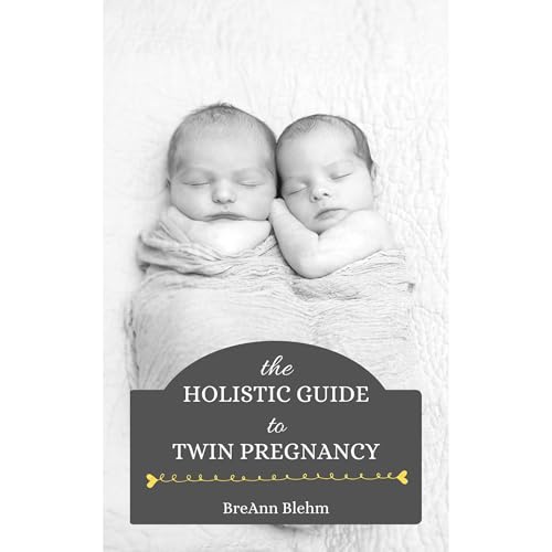 The Holistic Guide to Twin Pregnancy by BreAnn Blehm episode artwork