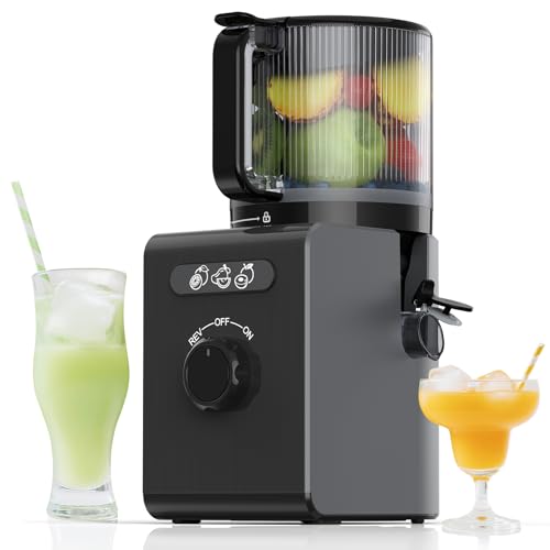SMALLHOO Cold Press Juicer Machines