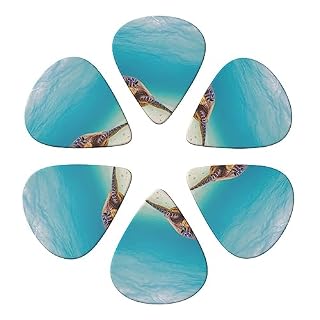 Lot de 6 médiators imprimés tortue de mer pour guitare acoustique et électrique - Les Beatles, Paul McCartney, John Lennon, RIngo Starr, George Harrison Lot de 6 médiators imprimés tortue de mer pour guitare acoustique et électrique – Image 4