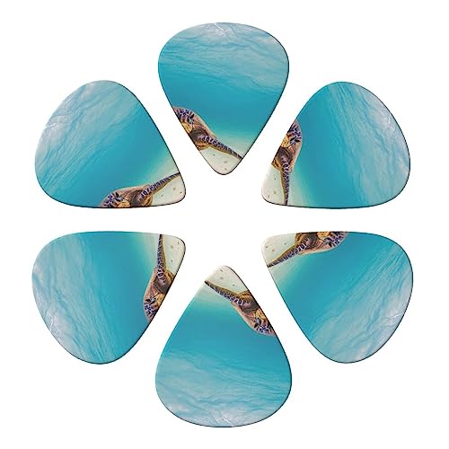 Lot de 6 médiators imprimés tortue de mer pour guitare acoustique et électrique - Les Beatles, Paul McCartney, John Lennon, RIngo Starr, George Harrison Lot de 6 médiators imprimés tortue de mer pour guitare acoustique et électrique – Image 5