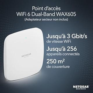NETGEAR Point d'accès sans Fil (WAX605) - Vitesse WiFi 6 Dual-Band AX3000, Jusqu'à 256 appareils connectés, 802.11ax, Mesh, Alimentation PoE ou Adaptateur Secteur