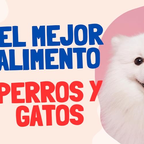 El mejor alimento para tus mascotas
