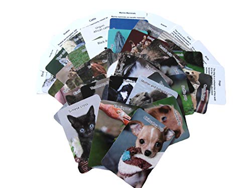 Activities For Seniors - Playing Cards For The Elderly - Dementia - Alzheimer's - Good For Memory - Reminiscence Games - Adult Games - Elderly Activities #TOP2