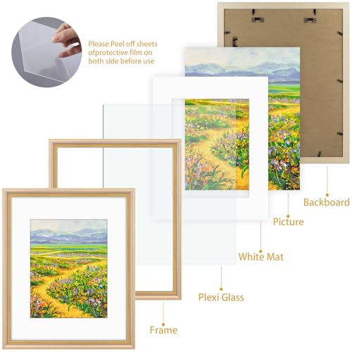 Image of Golden State Art,16x20 Ornate Picture Frame Holds 11x14 Photo,Champagne | Includes plexiglass front,white mat,build-in hangers and buttons.Displays 11x14 photo on wall