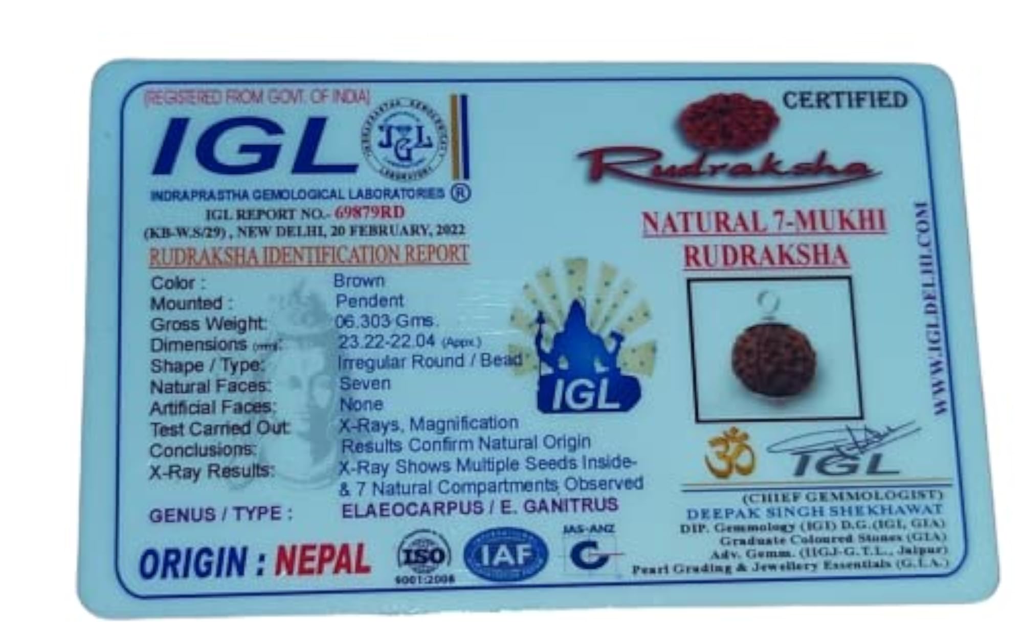 7 Mukhi Rudraksha Bead, Certified with Pure Capping
