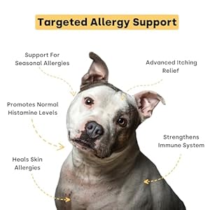 Kayode Itch Allergy Natural Dog Allergy Chews Allergy Relief for Dogs Premium Colostrum for Dogs Bee Pollen for Dog Allergies Alternative to Allergy Medicine for Dogs