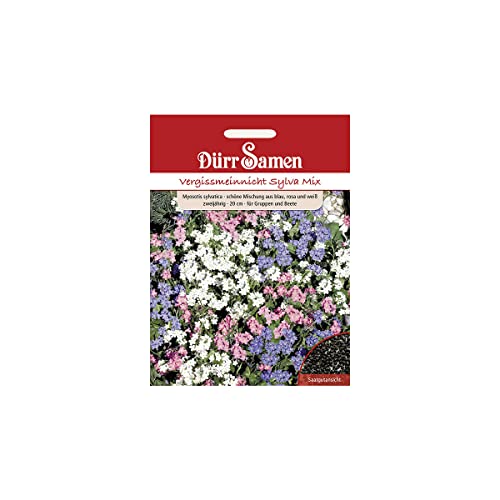 Dürr-Samen - Vergissmeinnicht Sylva Mix gelb mit Auge zweijährig 20 cm Saatgut Dürr-Samen - Vergissmeinnicht Sylva Mix gelb mit Auge zweijährig 20 cm Saatgut