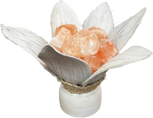 Fantasy Bazar Lampada foglia di cocco con sale himalayano tipo braciere