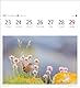 Heimische Vögel Postkartenkalender 2025 - Wochenkalender mit 53 Postkarten: Wochenkalender im Postkarten-Format mit Vogelporträts. Tischkalender mit ... neuen Postkarten zum Sammeln und Verschicken