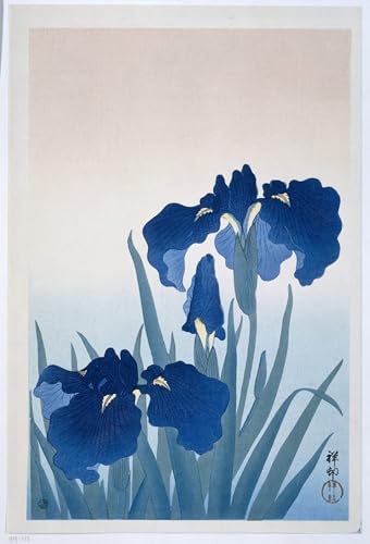 Peintures Oiseau et kaki Ohara Koson pour décorer un salon zen