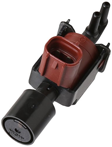 その他 pino 41nbOPqvx7L.jpg_BO30,255,255,