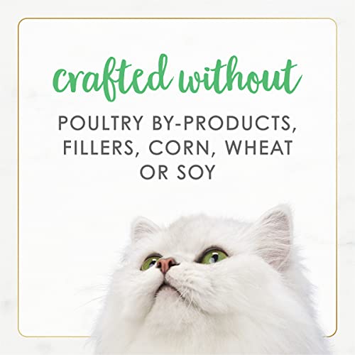 Image of Purina Fancy Feast Grain Free Pate Wet Kitten Food Gourmet Naturals White Meat Chicken Recipe - (Pack of 12) 3 oz. Cans