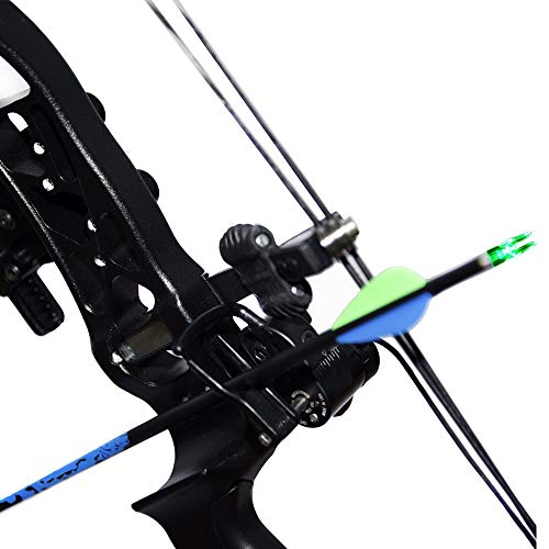 Hunter Action 6Pcs S Led Lighted Nocks For Arrow Archery Nocks Hunting Led Arrow Nocks Fits For Arrows With 0.244''/6.2Mm Inside Diameter(Green) … #TOP3