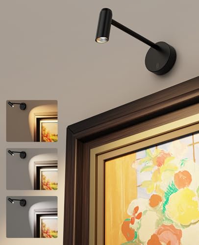 Afyuol Picture Light for Wall, Battery Operated Art Light for