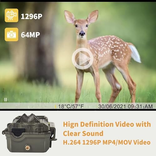 BlazeVideo Wildkamera WLAN mit App,Wildtierkamera Nachtsichtkamera Fotofalle 64MP 1296P Verbinden...