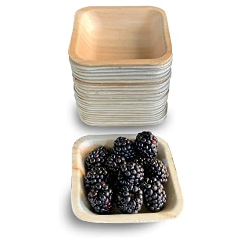 Raj Disposable Palm Leaf Bowls (25 Count, 4" Square Bowls) Strong Bowls Like Bamboo Party Bowls - Decorative Compostable Tableware for Lunch, Dinner, Birthday, Outdoor, BBQ, Picnic. Cover