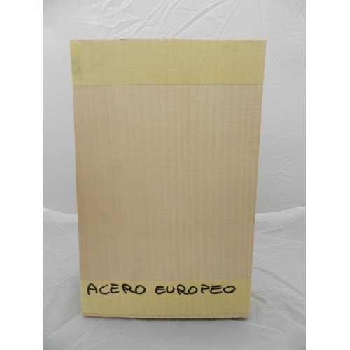 10 FOGLI DI IMPIALLACCIATURA DI LEGNO NATURALE PER L'INTARSIO DI ACERO EUROPEO 280 mm X 180 mm X 0,6 MM