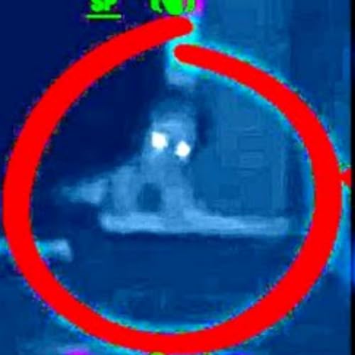 Alien Abductions and Terrifying Alien Encounters True Stories - UFO Video Compilation cover art