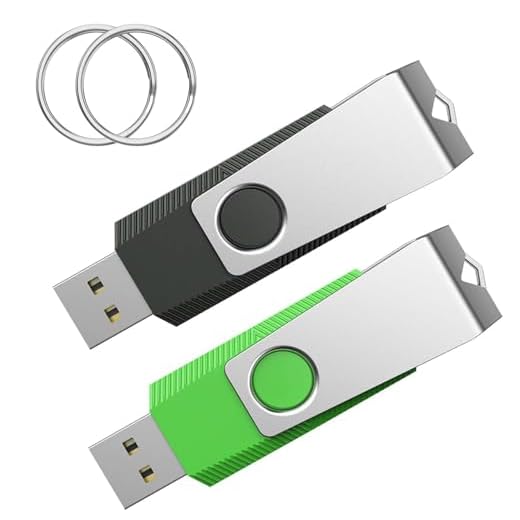 Wooolken Lot de 2 Clé USB 1 Go 2.0, cle USB pour PC/Ordinateur Portable/Smart TV/Voiture（Noir et Vert）