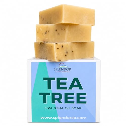 Splendor Tea Tree Soap Bar – Handmade Cold Process Natural Face & Body Soap with Eucalyptus & Peppermint – Vegan, Moisturizing, Gentle Cleanse –with Shea Butter Splendor Tea Tree Soap Bar – Handmade Cold Process Natural Face & Body Soap with Eucalyptus & Peppermint – Vegan, Moisturizing, Gentle Cleanse –with Shea Butter