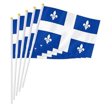 Lot De 100 Petits Drapeaux à Main Roses 14x21 Cm - Décoration De Fête, Jardin, Table - Tissu PVC Résistant - Pour événements, Anniversaires, Célébrations