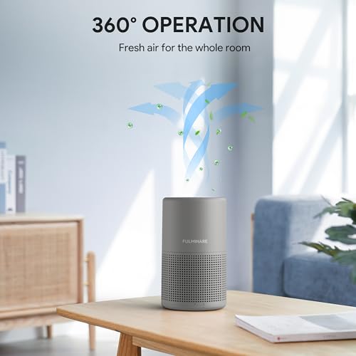 Image of FULMINARE Air Purifiers for Bedroom H13 True HEPA Air Filter, Quiet Air Cleaner With Night Light, Portable Small Air Purifier for Home, Office, Living Room (Gray)