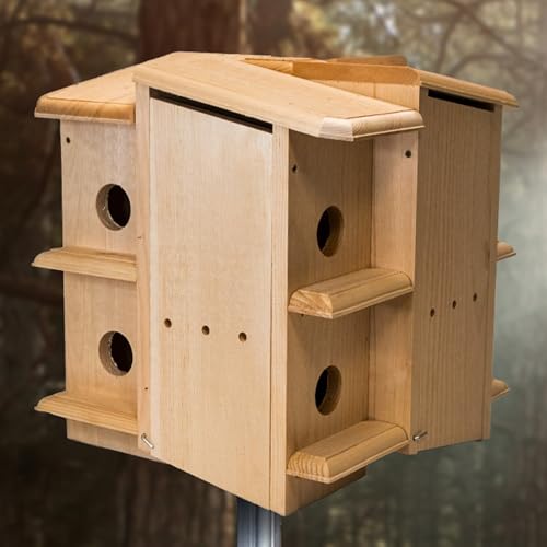 Image of Purple Martin House, 8 Room
