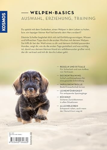 Welpen erziehen mit Erfolg: Mit Freude von Anfang an alles richtig machen. Erziehung, Umweltsozialisation und Training. @_hundewohl_