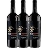 VINELLO 3er Weinpaket Rotwein – SUD Negroamaro – Cantine San Marzano mit einem VINELLO.weinausgieÃer | 3 x 0,75 Liter