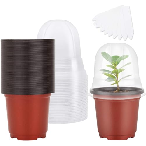 Voarge - Voarge Lot de 10 pots de culture, de 10 cm, avec couvercle en dôme, marron, en plastique, avec dôme d'humidité et 10 piquets de plantes, ronds, pour graines, semis