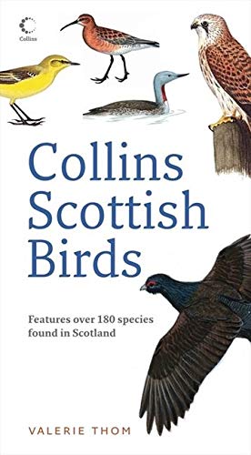 Collins Scottish Birds Collins Scottish Birds