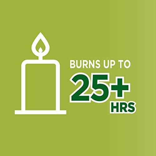 Coleman Scented Tin Citronella Candle - 3 Pack, S'mores, Pine And Campfire #TOP5