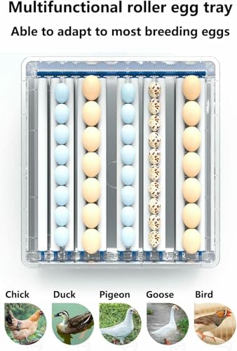 Incubadora digital de huevos totalmente automática con pantalla LED para incubar pollos, codornices, palomas y otros pájaros