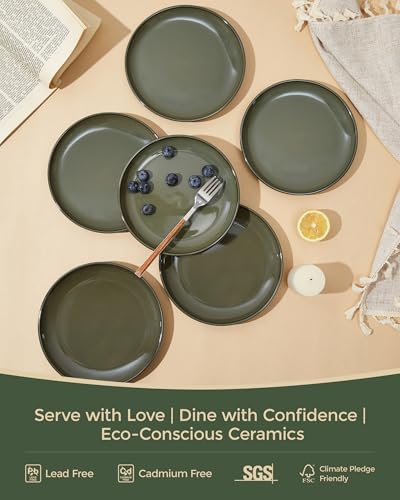 Image of Pokini Ceramic Dinner Plates Set of 6, 8inch Salad, Dessert Plates Dishes