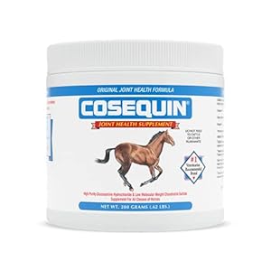 Nutramax Cosequin Original Joint Health Supplement for Horses – Powder with Glucosamine and Chondroitin, 280 Grams