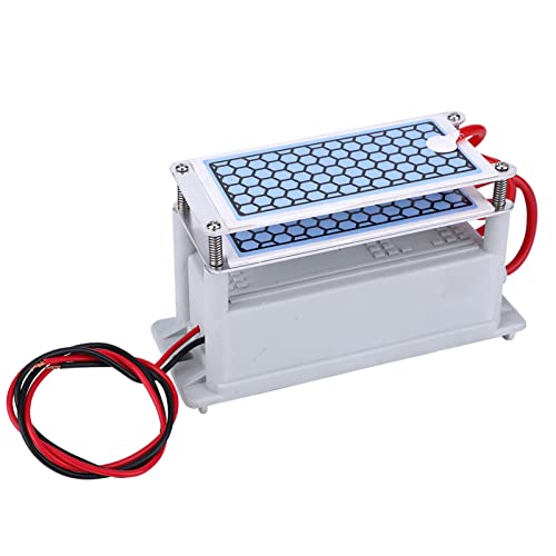 Walfront Generador de O3 Portátil de 10 G para el Hogar, Purificador de Olores para el Automóvil con Salida Rápida, Limpiador de Aire Interior, Ambientador para Secadoras, Refrigeradores, (220V)