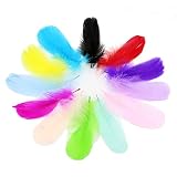 300 Pcs 3-5 Inches Colorful Feathers, Decor Feather for DIY Craft Clothing Wedding Home Party Decora