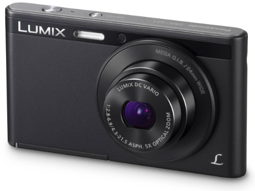 Panasonic DMC-XS1EG-K - Cámara EVIL de 16 Mp (pantalla 2.7', estabilizador),...