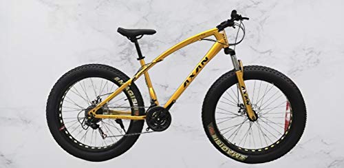axan fat bike